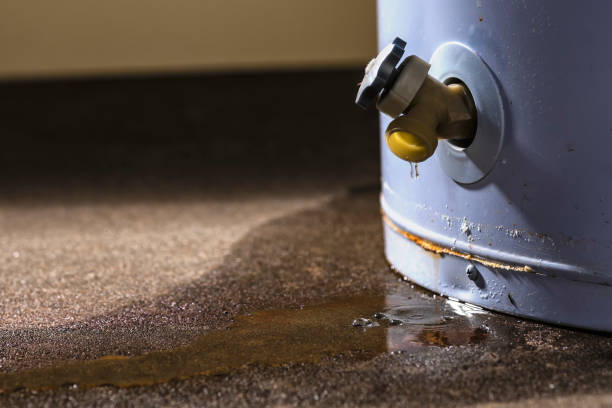 Best Mold removal after water damage  in Sevierville, TN