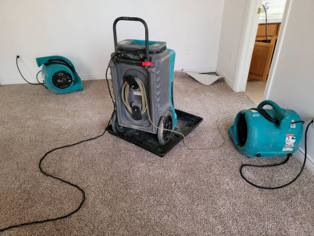 Best Professional water damage repair  in Sevierville, TN
