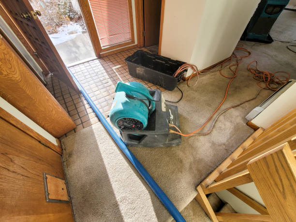 Best 24-hour water damage restoration  in Sevierville, TN