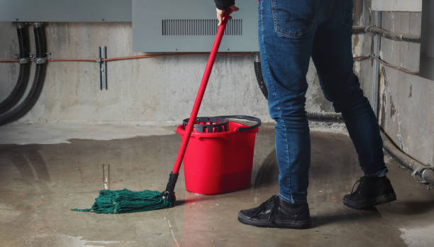 Best Flood damage cleanup  in Sevierville, TN