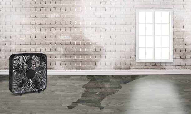Professional Water damage restoration in TN