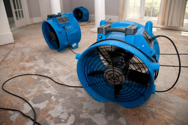 Best Local water damage restoration  in Sevierville, TN