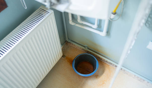 Best Water damage cleanup near me  in Sevierville, TN
