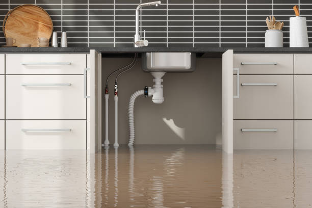 Best Flood damage cleanup  in Sevierville, TN