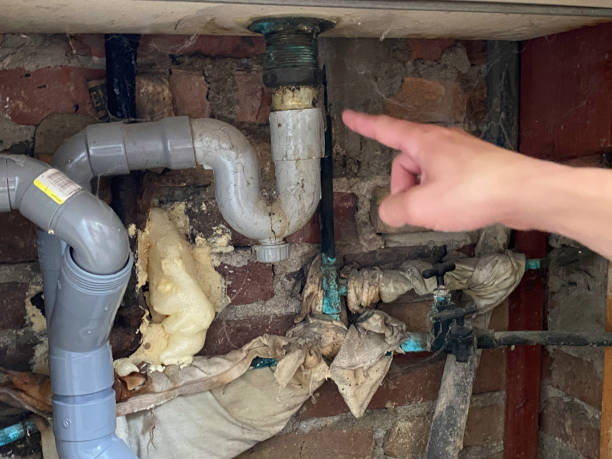Best Water damage contractors near me  in Sevierville, TN