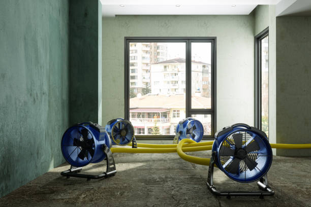Best Local water damage restoration  in Sevierville, TN